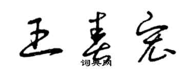 曾慶福王春宏草書個性簽名怎么寫