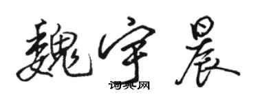 駱恆光魏宇晨行書個性簽名怎么寫