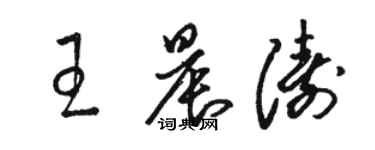 駱恆光王晨濤草書個性簽名怎么寫