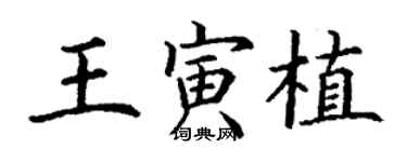 丁謙王寅植楷書個性簽名怎么寫