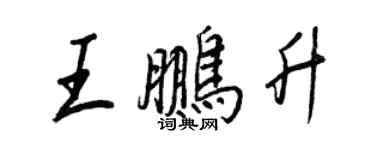 王正良王鵬升行書個性簽名怎么寫