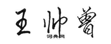 駱恆光王帥曾行書個性簽名怎么寫
