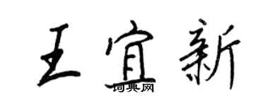 王正良王宜新行書個性簽名怎么寫
