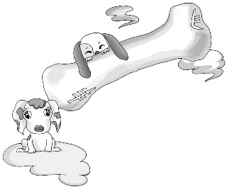 我的朋友七仔和小白_我的朋友七仔和小白作文