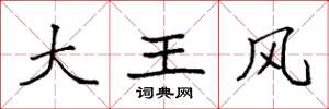 袁強大王風楷書怎么寫