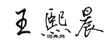 駱恆光王熙晨行書個性簽名怎么寫