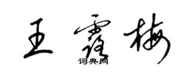 梁錦英王露梅草書個性簽名怎么寫