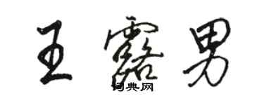 駱恆光王露男行書個性簽名怎么寫