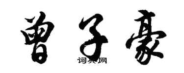 胡問遂曾子豪行書個性簽名怎么寫