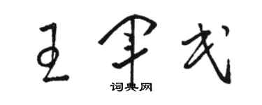 駱恆光王軍民草書個性簽名怎么寫