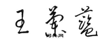 駱恆光王蘭藍草書個性簽名怎么寫