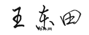 駱恆光王東田行書個性簽名怎么寫