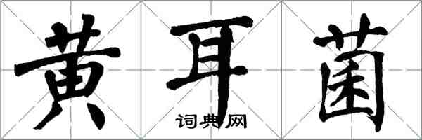 翁闓運黃耳菌楷書怎么寫