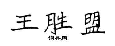 袁強王勝盟楷書個性簽名怎么寫