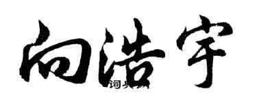 胡問遂向浩宇行書個性簽名怎么寫