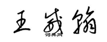 梁錦英王威翰草書個性簽名怎么寫