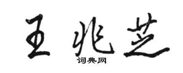 駱恆光王兆芝行書個性簽名怎么寫