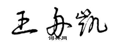 曾慶福王舟凱草書個性簽名怎么寫