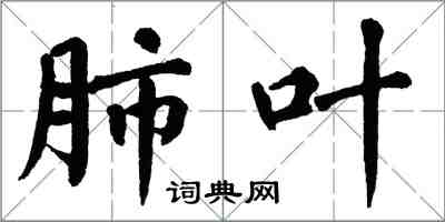 翁闓運肺葉楷書怎么寫