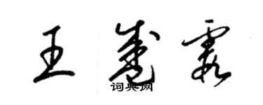 梁錦英王盛霞草書個性簽名怎么寫