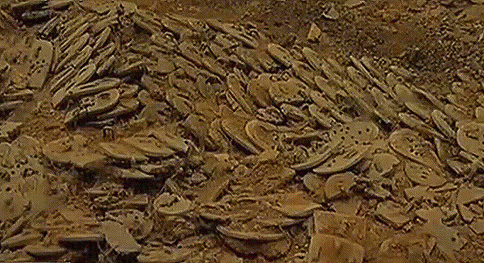 秦始皇陵墓何時打開