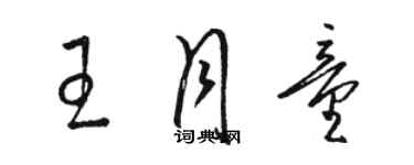 駱恆光王月童草書個性簽名怎么寫