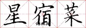 丁謙星宿菜楷書怎么寫