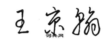 駱恆光王京翰草書個性簽名怎么寫