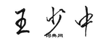 駱恆光王少中行書個性簽名怎么寫