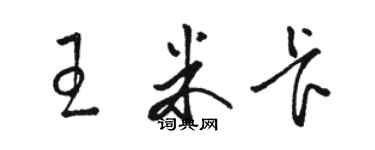 駱恆光王米卡草書個性簽名怎么寫