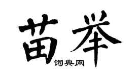 翁闓運苗舉楷書個性簽名怎么寫