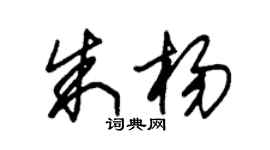 朱錫榮朱楊草書個性簽名怎么寫