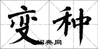 翁闓運變種楷書怎么寫