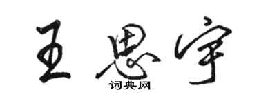 駱恆光王思宇行書個性簽名怎么寫