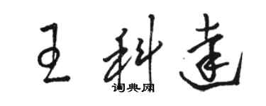 駱恆光王科達草書個性簽名怎么寫