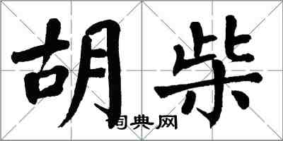 翁闓運胡柴楷書怎么寫