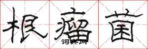 駱恆光根瘤菌隸書怎么寫