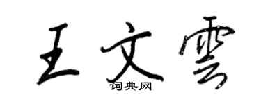王正良王文雲行書個性簽名怎么寫