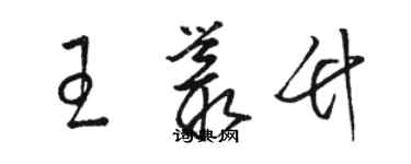 駱恆光王叢竹草書個性簽名怎么寫