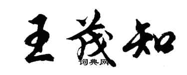 胡問遂王茂知行書個性簽名怎么寫