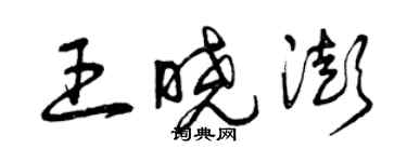 曾慶福王曉澎草書個性簽名怎么寫