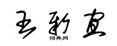 朱錫榮王新宜草書個性簽名怎么寫