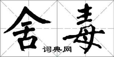 翁闓運舍毒楷書怎么寫