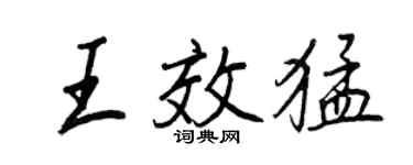 王正良王效猛行書個性簽名怎么寫