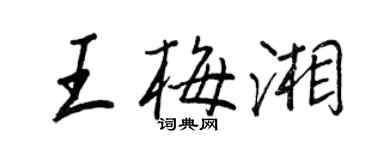 王正良王梅湘行書個性簽名怎么寫
