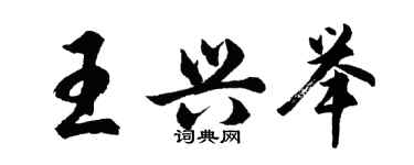 胡問遂王興舉行書個性簽名怎么寫