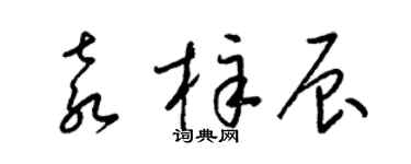梁錦英袁梓辰草書個性簽名怎么寫