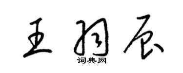 梁錦英王羽辰草書個性簽名怎么寫