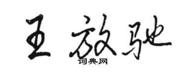 駱恆光王放馳行書個性簽名怎么寫