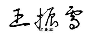 曾慶福王振雪草書個性簽名怎么寫